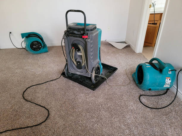 Best 24/7 water damage repair  in Sayre, PA