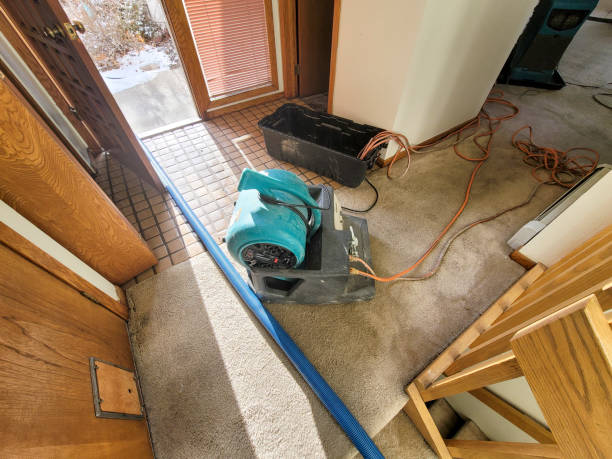  Sayre, PA Water damage restoration Pros