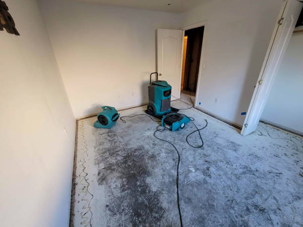 Best Commercial water damage restoration  in Sayre, PA