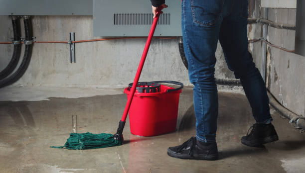 Best Flood damage cleanup  in Sayre, PA