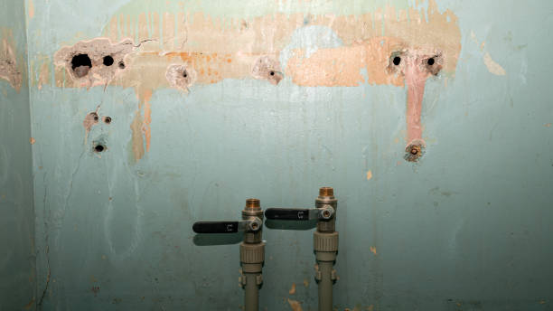 Best Flooded house restoration  in Sayre, PA