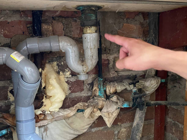 Best Water damage restoration specialists  in Sayre, PA