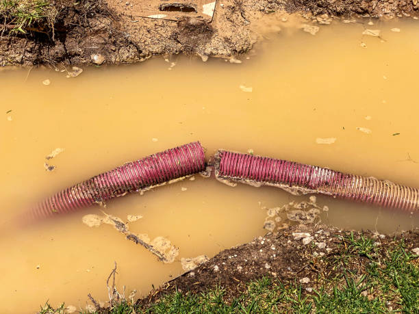 Best Professional water damage repair  in Sayre, PA